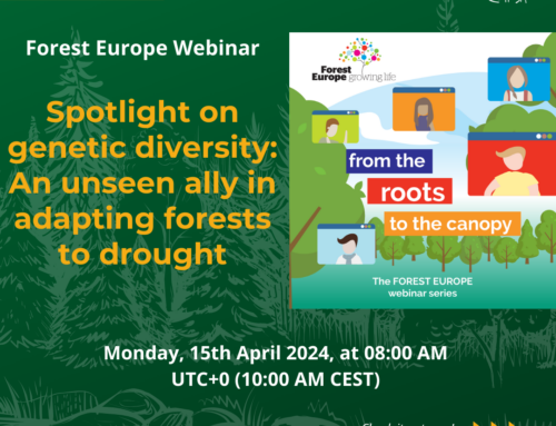 From the Roots to the Canopy: Forest Europe Webinar Series