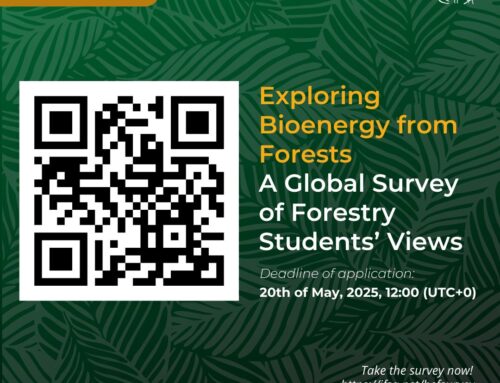 Global Forestry Students’ Perspectives on Bioenergy from Forests