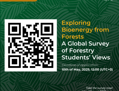 Global Forestry Students’ Perspectives on Bioenergy from Forests