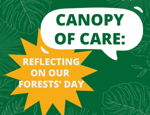 Canopy of Care: Reflecting on Our Forests’ Day.