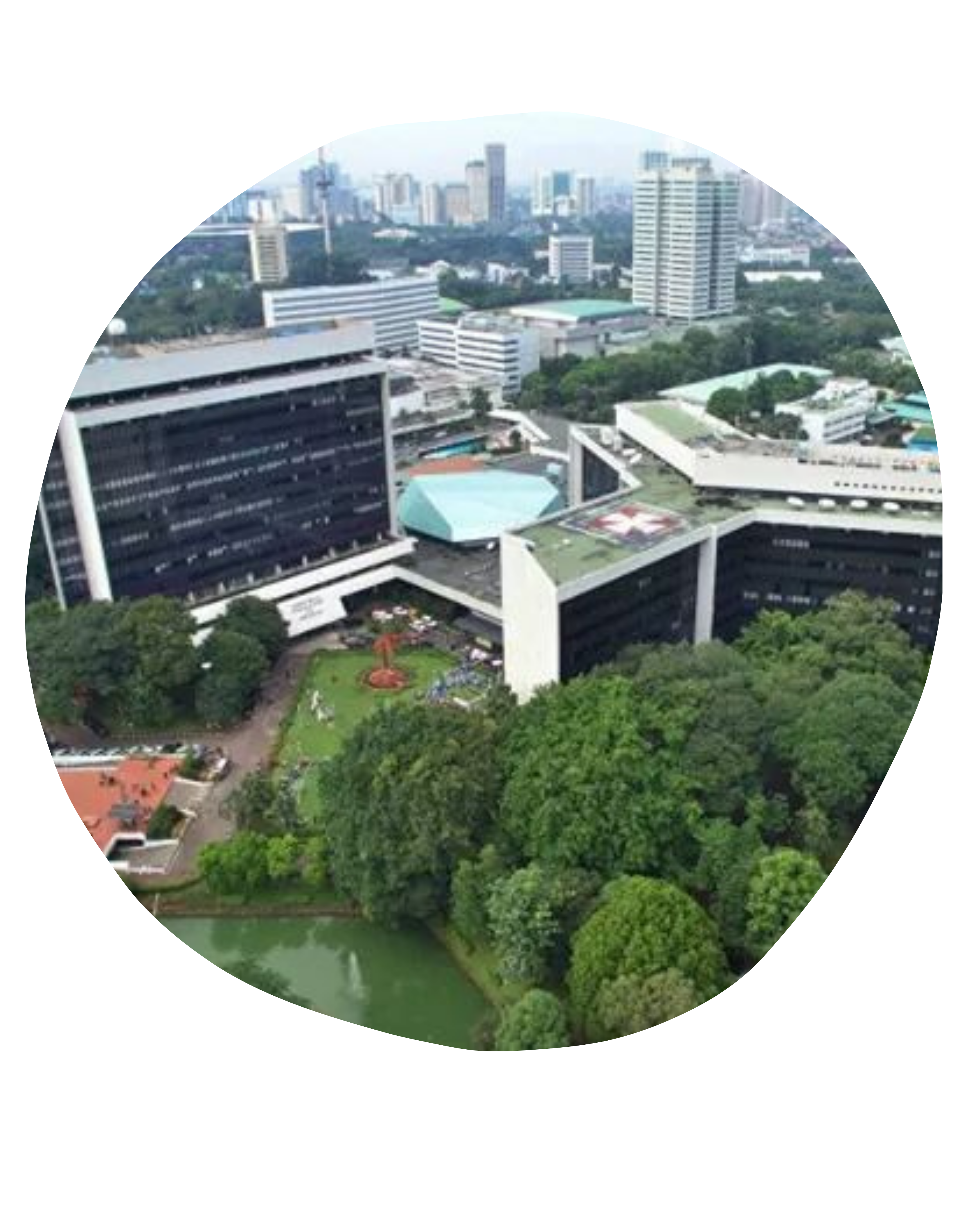 International Forestry Students’ Symposium Online Course 2025 “Exploring Forestry in the Island of Borneo” (10)