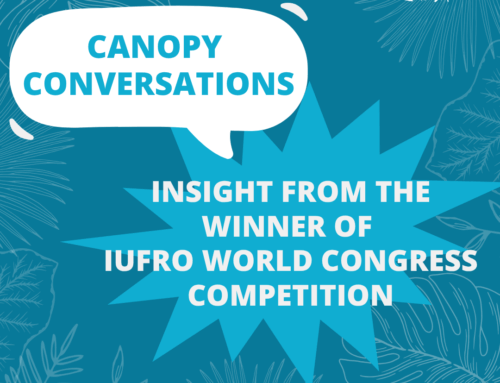 Insight from the winner of IUFRO world congress competition
